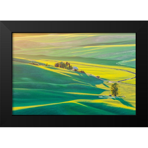 Steptoe Butte State Park-Washington State-USA-Sunset view of wheat fields in the rolling Palouse hi Black Modern Wood Framed Art Print by Wilson, Emily M.
