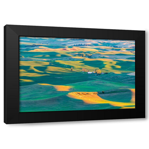 Steptoe Butte State Park-Washington State-USA-Sunset view of wheat farms in the rolling Palouse hil Black Modern Wood Framed Art Print by Wilson, Emily M.