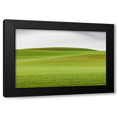 Steptoe-Washington State-USA-Wheat fields in the rolling Palouse hills of Washington Black Modern Wood Framed Art Print with Double Matting by Wilson, Emily M.
