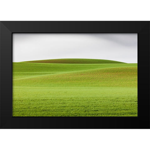 Steptoe-Washington State-USA-Wheat fields in the rolling Palouse hills of Washington Black Modern Wood Framed Art Print by Wilson, Emily M.
