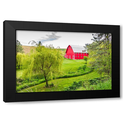 Colfax-Washington State-USA-A red barn on a farm in the Palouse hills Black Modern Wood Framed Art Print by Wilson, Emily M.