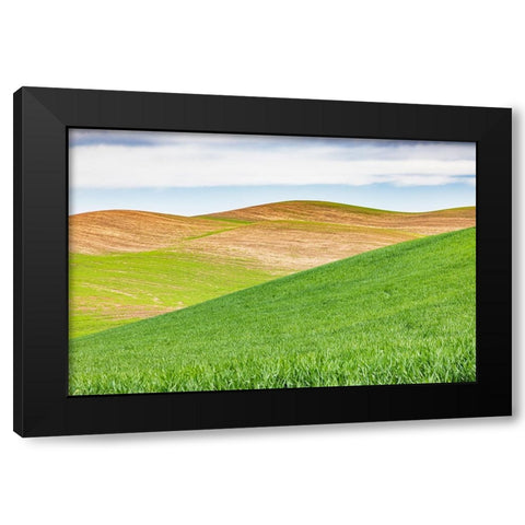 Pullman-Washington State-USA-Rolling wheat fields in the Palouse hills Black Modern Wood Framed Art Print by Wilson, Emily M.