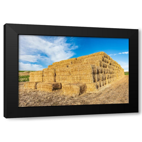 Pullman-Washington State-USA-Stack of hay bales in the Palouse hills Black Modern Wood Framed Art Print with Double Matting by Wilson, Emily M.
