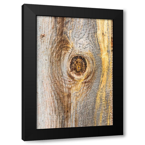 Latah-Washington State-USA-Knot in weathered wood on an old barn Black Modern Wood Framed Art Print with Double Matting by Wilson, Emily M.