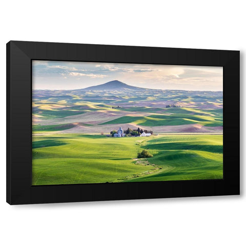 Farmington-Washington State-USA-Wheat farms in front of Steptoe Butte in the Palouse hills Black Modern Wood Framed Art Print by Wilson, Emily M.