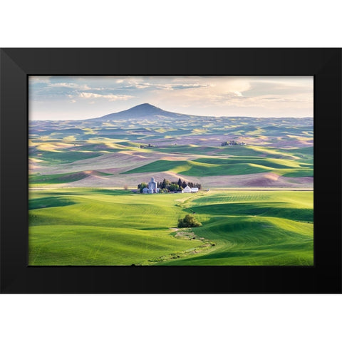 Farmington-Washington State-USA-Wheat farms in front of Steptoe Butte in the Palouse hills Black Modern Wood Framed Art Print by Wilson, Emily M.