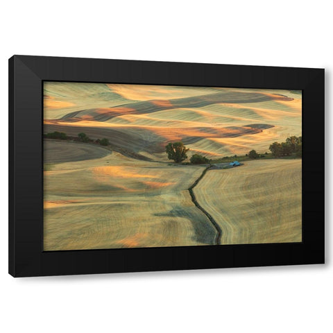 USA- Washington State- Whitman County- Palouse. Rolling fields and hills near Steptoe Butte. Black Modern Wood Framed Art Print with Double Matting by Wilson, Emily M.