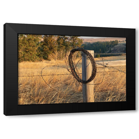 USA- Washington State- Whitman County- Palouse. Barbed wire fence Posts. Black Modern Wood Framed Art Print with Double Matting by Wilson, Emily M.