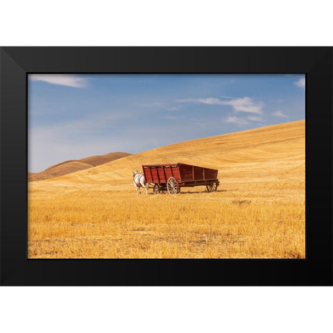 USA- Washington State- Whitman County- Palouse Black Modern Wood Framed Art Print by Wilson, Emily M.