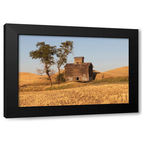 USA- Washington State- Whitman County- Palouse. Colfax. Old grain silo and barn along Filan Road. Black Modern Wood Framed Art Print with Double Matting by Wilson, Emily M.
