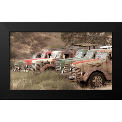 USA- Washington State- Whitman County- Palouse. Colfax. Old trucks. Black Modern Wood Framed Art Print by Wilson, Emily M.