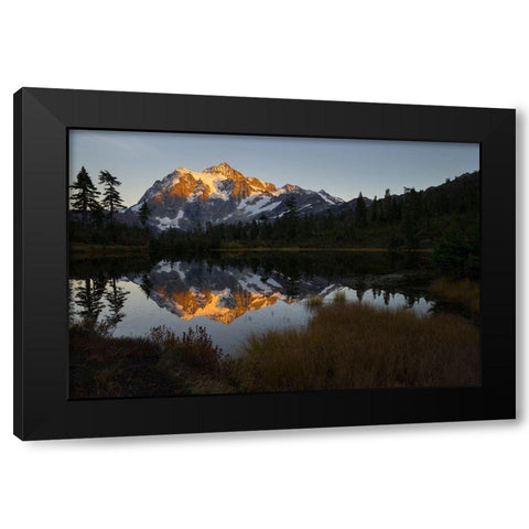 Glaciated Mt Shuksan reflected in Picture Lake-Mt Baker-Snoqualmie National Forest  Black Modern Wood Framed Art Print with Double Matting by Luhm, Gary