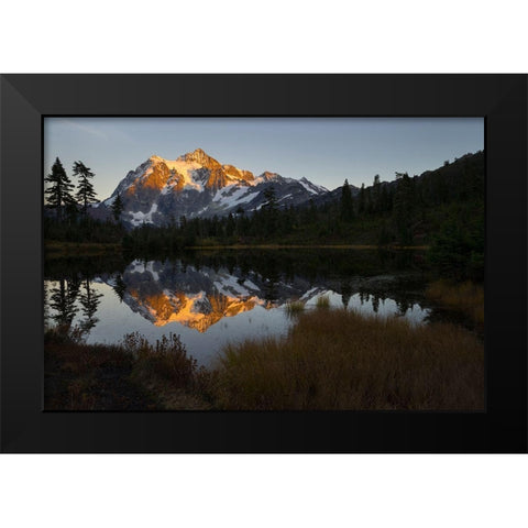 Glaciated Mt Shuksan reflected in Picture Lake-Mt Baker-Snoqualmie National Forest  Black Modern Wood Framed Art Print by Luhm, Gary
