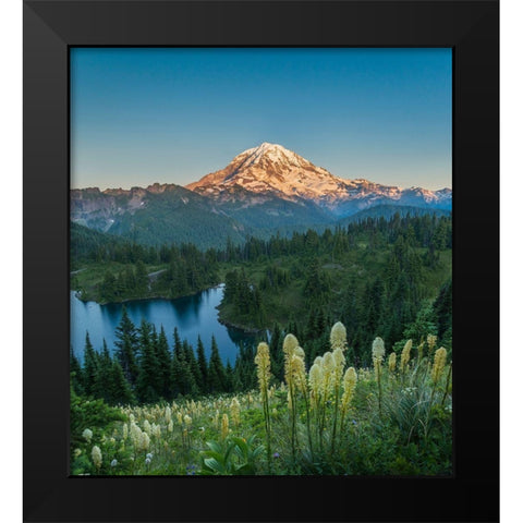 Washington State Beargrass wildflowers from the flank of Tolmie Peak at Eunice Lake Black Modern Wood Framed Art Print by Luhm, Gary