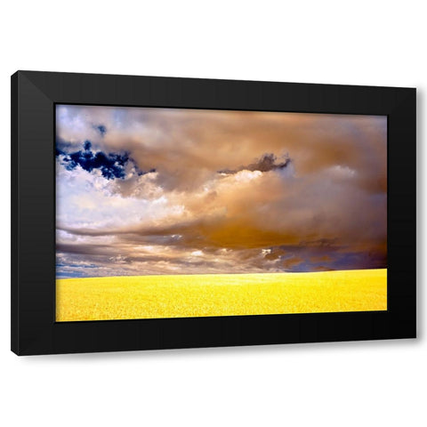 USA-Palouse abstract Black Modern Wood Framed Art Print with Double Matting by Theodore, George and Marilu