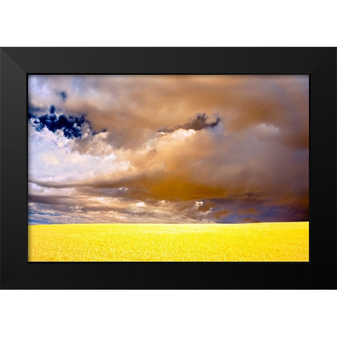USA-Palouse abstract Black Modern Wood Framed Art Print by Theodore, George and Marilu