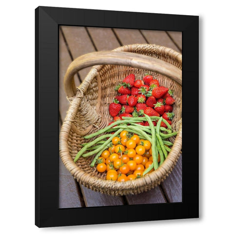 Issaquah-Washington State-USA Basket of freshly picked strawberries Black Modern Wood Framed Art Print by Horton, Janet