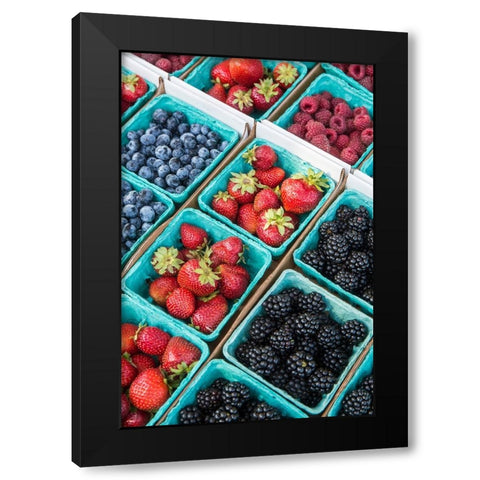 Issaquah-Washington State-USA Pints of freshly harvested strawberries Black Modern Wood Framed Art Print by Horton, Janet