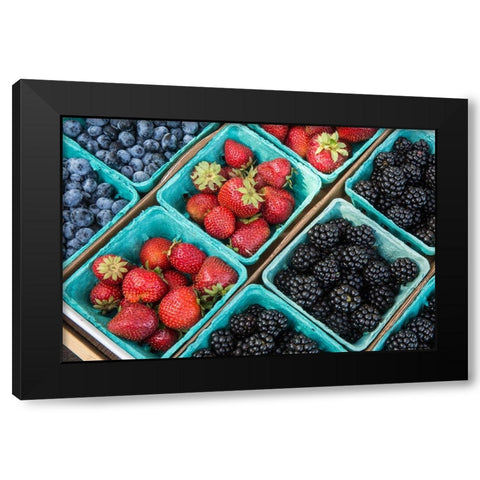 Issaquah-Washington State-USA Pints of freshly harvested strawberries Black Modern Wood Framed Art Print by Horton, Janet
