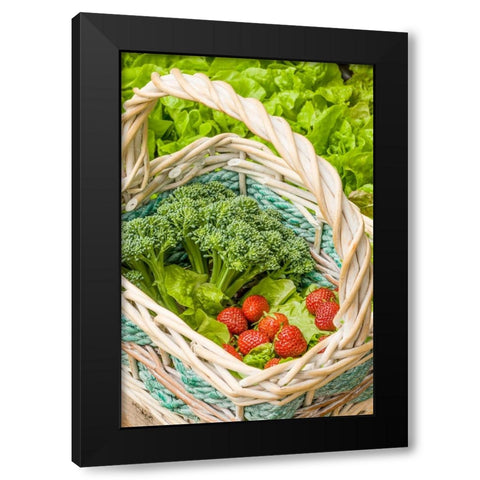 Issaquah-Washington State-USA Basket of freshly harvested Blue Wind broccoli Black Modern Wood Framed Art Print with Double Matting by Horton, Janet