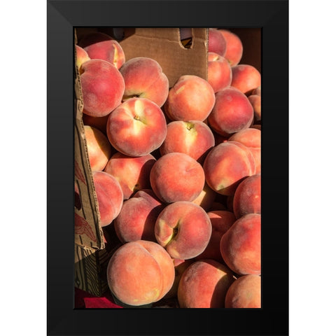 Issaquah-Washington State-USA Boxes of White Lady peaches for sale at a Farmers Market Black Modern Wood Framed Art Print by Horton, Janet