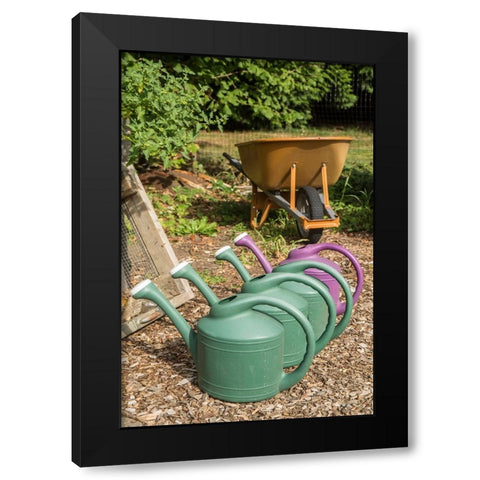 Issaquah-Washington State-USA Row of plastic watering cans for hand-watering a garden Black Modern Wood Framed Art Print by Horton, Janet