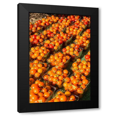 Issaquah-Washington State-USA Pints of cherry tomatoes for sale at a Farmers Market Black Modern Wood Framed Art Print by Horton, Janet