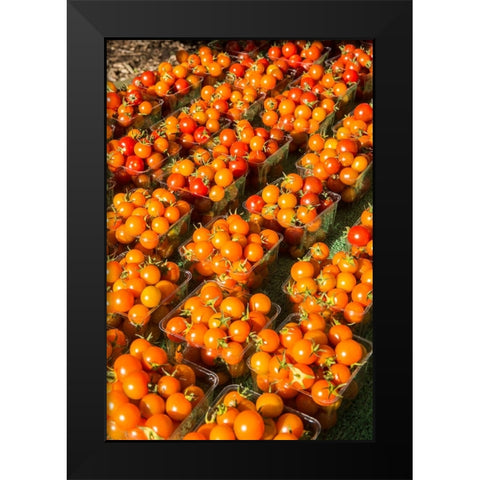 Issaquah-Washington State-USA Pints of cherry tomatoes for sale at a Farmers Market Black Modern Wood Framed Art Print by Horton, Janet