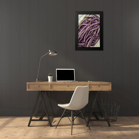 Bellevue-Washington State-USA Freshly harvested Violet Podded Stringless pole beans Black Modern Wood Framed Art Print by Horton, Janet