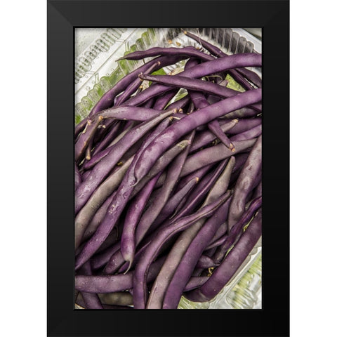 Bellevue-Washington State-USA Freshly harvested Violet Podded Stringless pole beans Black Modern Wood Framed Art Print by Horton, Janet