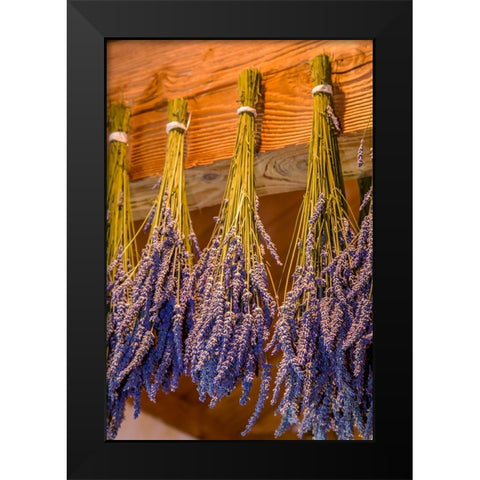 San Juan Island-Washington State-USA Bunches of lavender hung to dry Black Modern Wood Framed Art Print by Horton, Janet