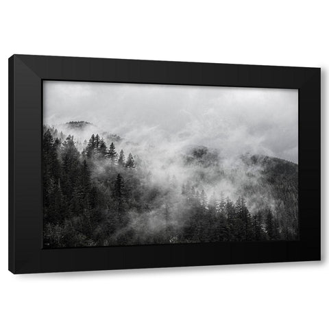 North Cascades Mountains-foggy mountain Black Modern Wood Framed Art Print with Double Matting by Sienda, Jolly