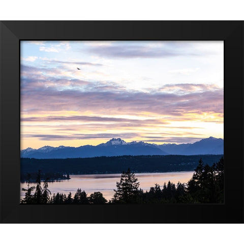Bremerton-Washington State-Olympic Mountains-Puget Sound Black Modern Wood Framed Art Print by Sienda, Jolly