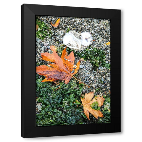 Kitsap Peninsula-Seabeck-Washington State Black Modern Wood Framed Art Print with Double Matting by Sienda, Jolly