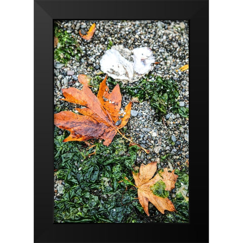 Kitsap Peninsula-Seabeck-Washington State Black Modern Wood Framed Art Print by Sienda, Jolly