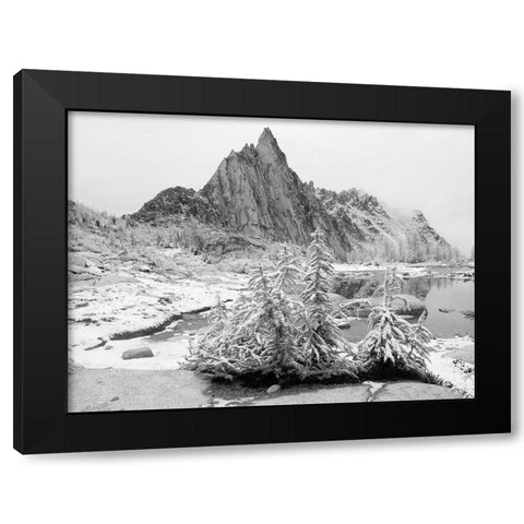 Alpine Lakes Wilderness-Enchantment Lakes-snow covered larch trees-with Prusik Peak Black Modern Wood Framed Art Print by Wild, Jamie and Judy