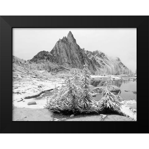 Alpine Lakes Wilderness-Enchantment Lakes-snow covered larch trees-with Prusik Peak Black Modern Wood Framed Art Print by Wild, Jamie and Judy