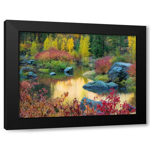 WA-Tumwater Canyon-Autumn reflection Black Modern Wood Framed Art Print with Double Matting by Wild, Jamie and Judy