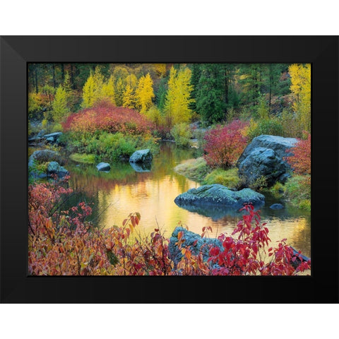 WA-Tumwater Canyon-Autumn reflection Black Modern Wood Framed Art Print by Wild, Jamie and Judy