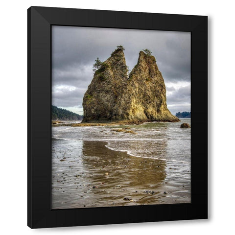 WA-Olympic National Park-Rialto Beach-Seastack and stormy sky Black Modern Wood Framed Art Print with Double Matting by Wild, Jamie and Judy