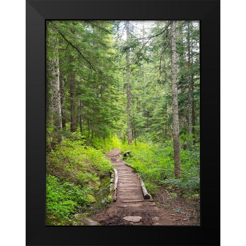 Washington State-Central Cascades-Trail to Pratt Ridge Black Modern Wood Framed Art Print by Wild, Jamie and Judy