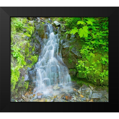 Washington State-Central Cascades-Waterfall-on trail to Annette Lake Black Modern Wood Framed Art Print by Wild, Jamie and Judy