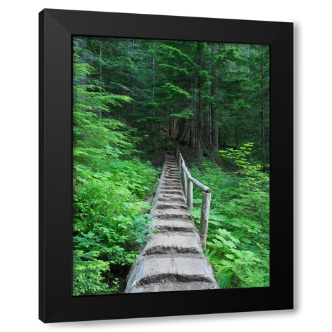 Washington State-Central Cascades-Old Fir tree bridge-on trail to Annette Lake Black Modern Wood Framed Art Print with Double Matting by Wild, Jamie and Judy