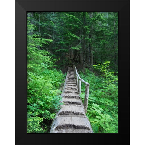 Washington State-Central Cascades-Old Fir tree bridge-on trail to Annette Lake Black Modern Wood Framed Art Print by Wild, Jamie and Judy