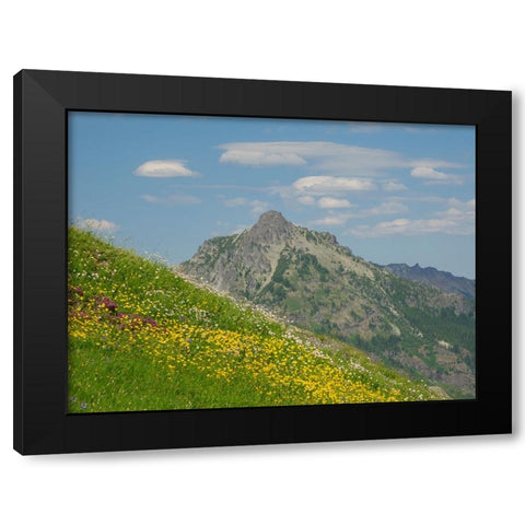 Washington State-Central Cascades-Rampart Ridge-Alta Mountain and wildflowers Black Modern Wood Framed Art Print by Wild, Jamie and Judy