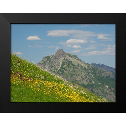 Washington State-Central Cascades-Rampart Ridge-Alta Mountain and wildflowers Black Modern Wood Framed Art Print by Wild, Jamie and Judy