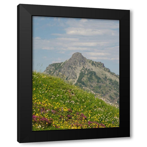 Washington State-Central Cascades-Rampart Ridge-Alta Mountain and wildflowers Black Modern Wood Framed Art Print by Wild, Jamie and Judy