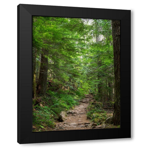 Washington State-Central Cascades-Granite Mountain trail Black Modern Wood Framed Art Print by Wild, Jamie and Judy