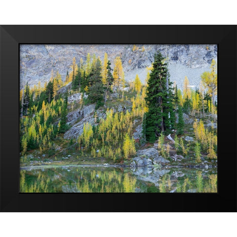 Washington State-North Cascades-Alpine Pond with Larch and Fir trees Black Modern Wood Framed Art Print by Wild, Jamie and Judy