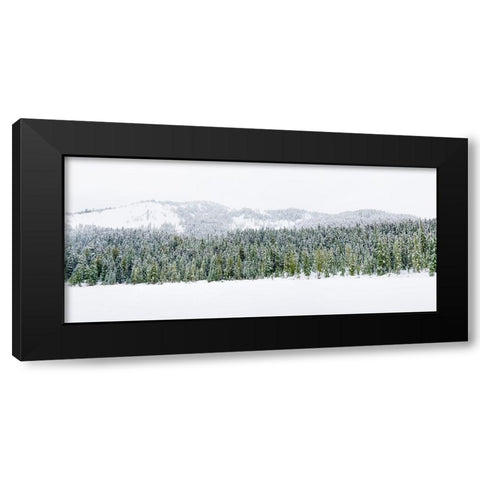Washington State-Central Cascades Winter at frozen Olallie Lake Black Modern Wood Framed Art Print with Double Matting by Wild, Jamie and Judy